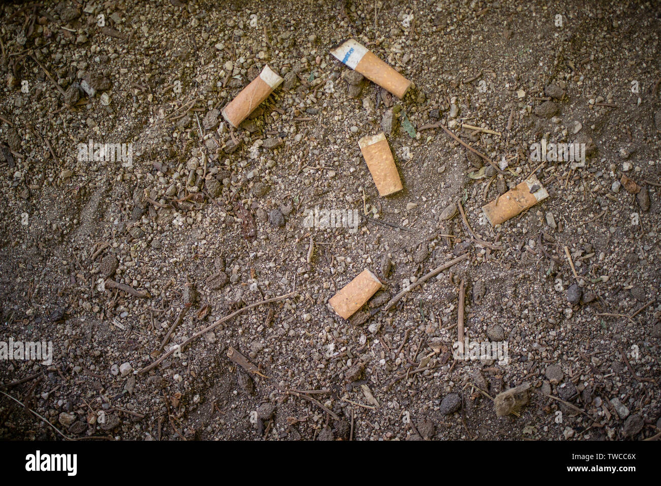 Five discarded cigarette ends on dirt path in park, Madrid, Spain Stock Photo