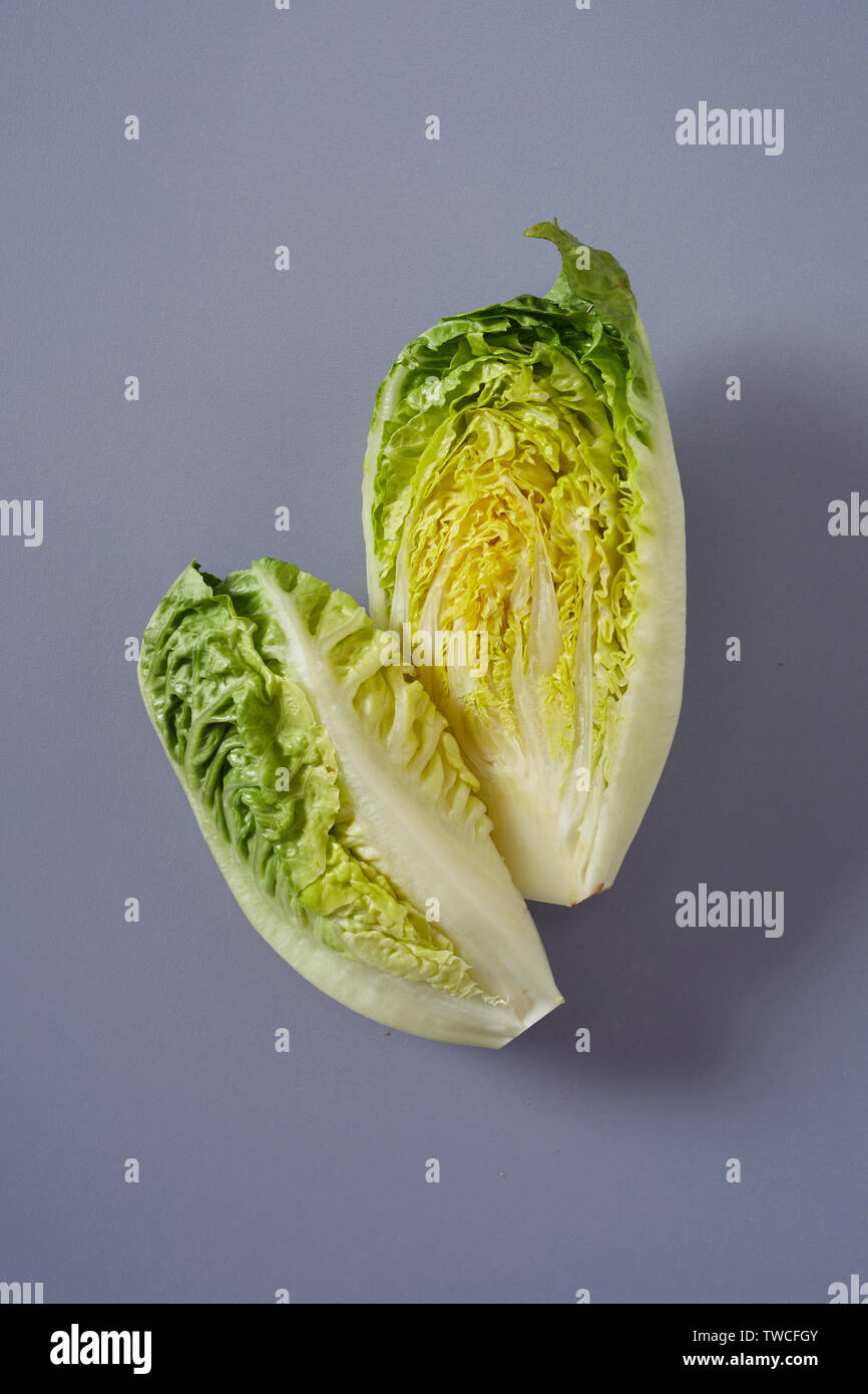 Halve head of fresh green Chinese or Napa Cabbage showing the crinkly leaves for cooking or a salad on a grey background Stock Photo