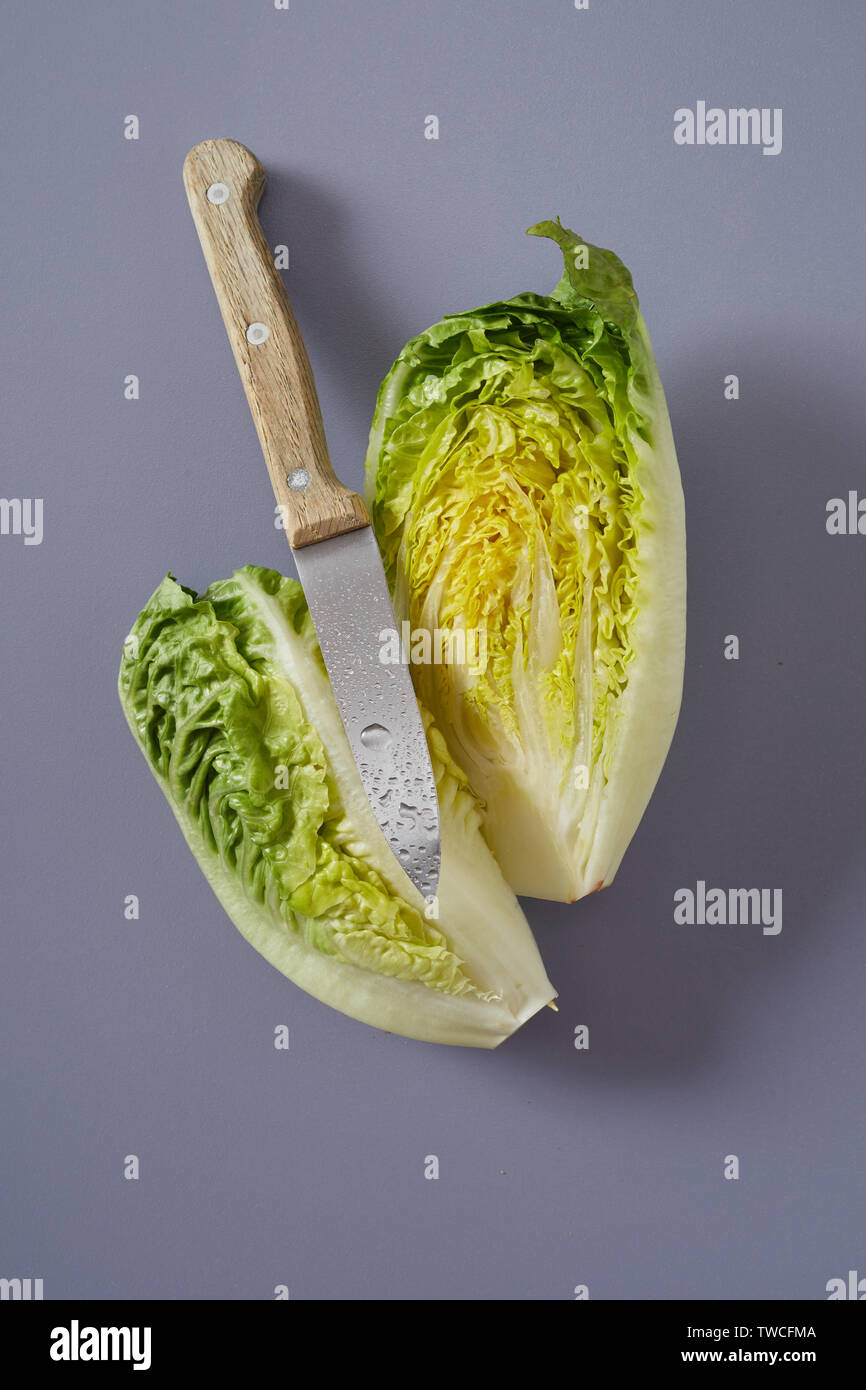 Sharp wet kitchen paring knife with a sliced head of Chinese or Napa cabbage showing the crinkly leaves on a grey background Stock Photo