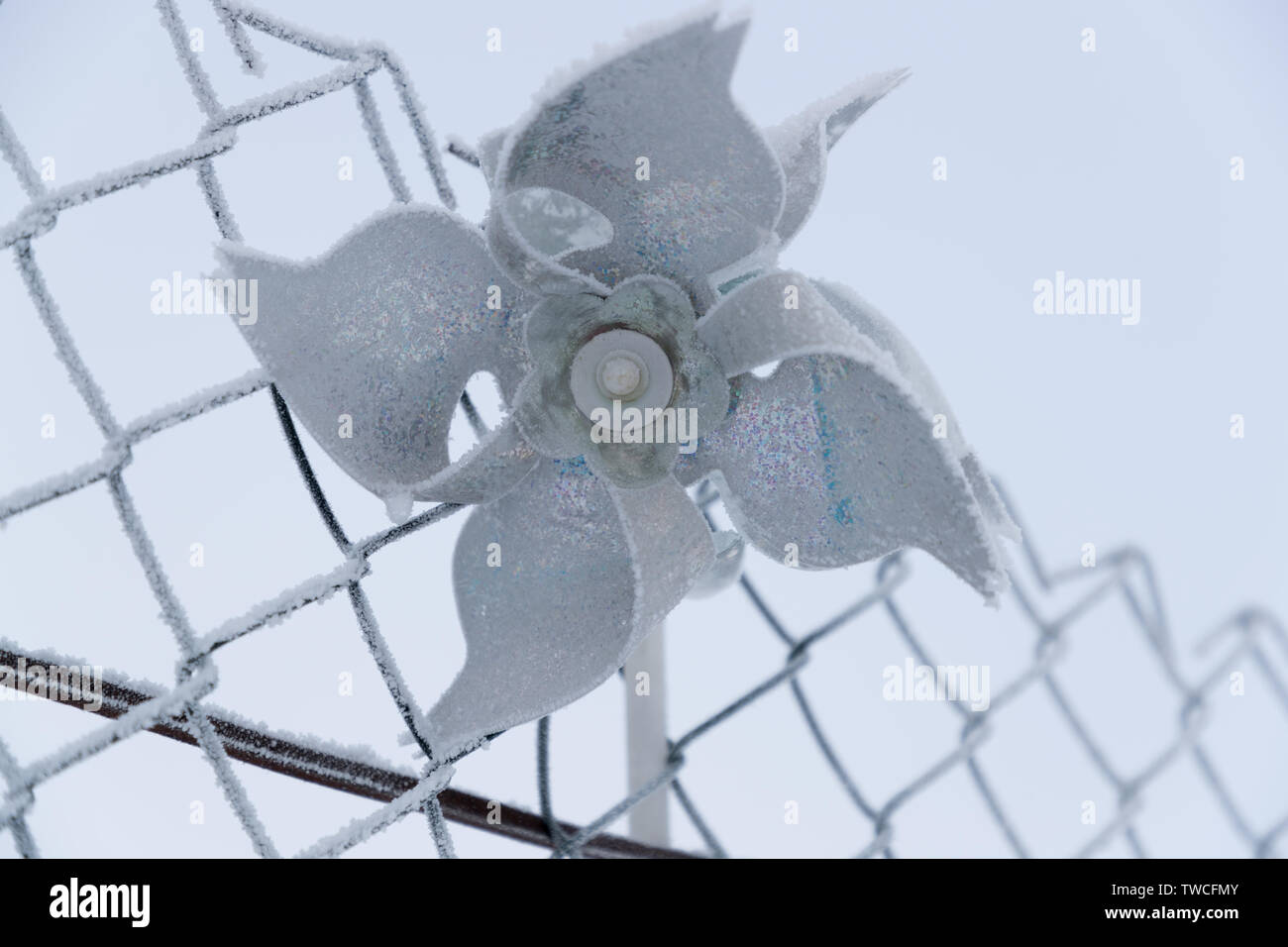 frozen hand windmill close up in winter Stock Photo