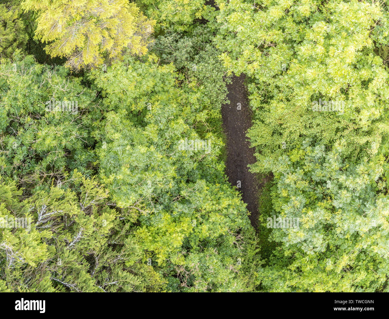 Aerial view of a hiking trail in Merlin Park, Galway, Ireland Stock ...
