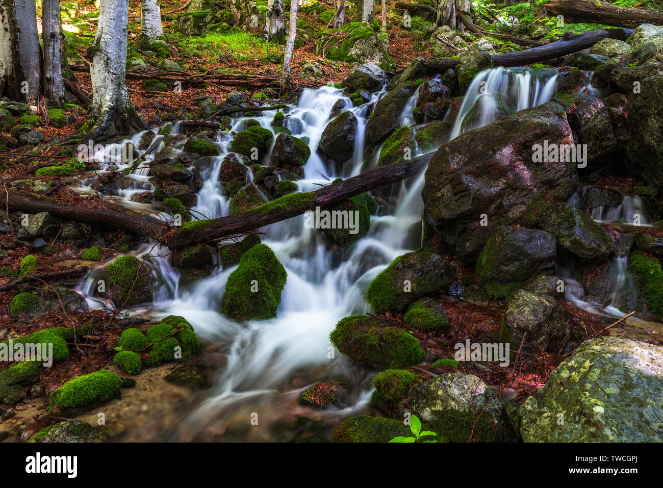 Summer mountain colors of 