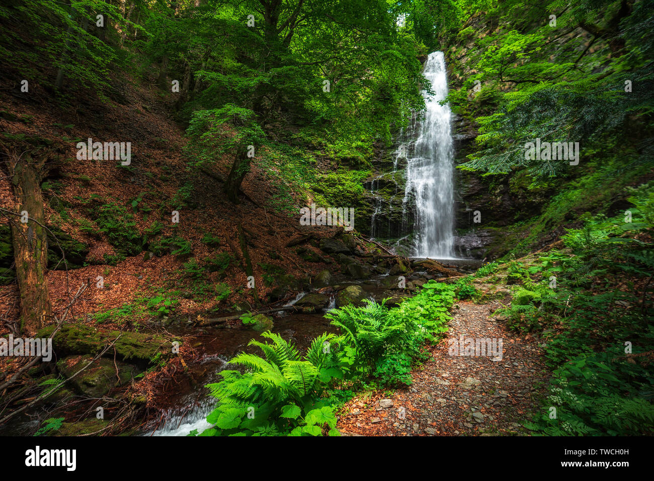 Karlovsko pruskalo waterfall in Old River, Stara reka reserve, located ...