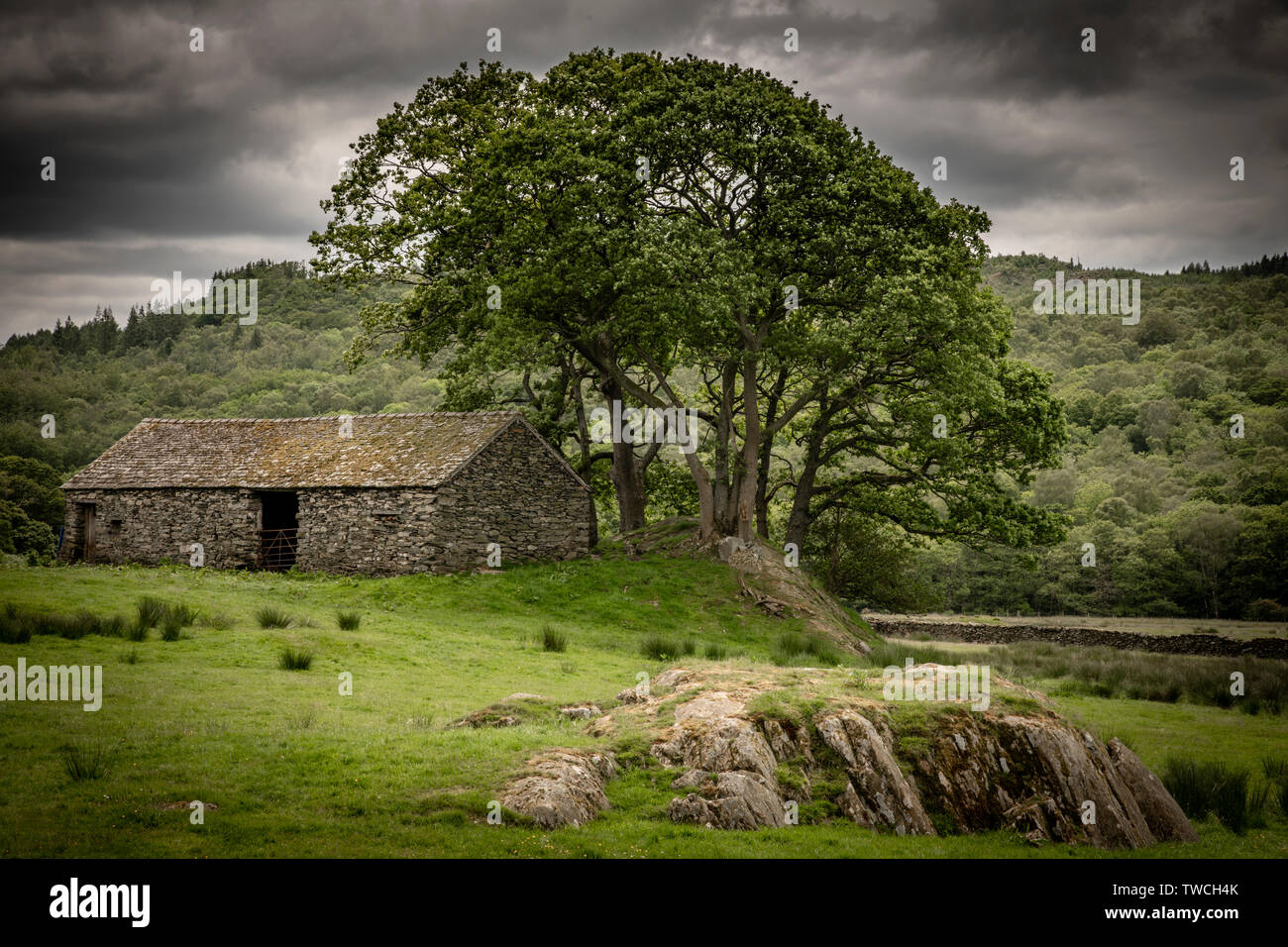 It has been a bit grey today in the Lakes.  I stopped off for a photograph of this old barn in the Duddon Valley on an otherwise fruitless day. Stock Photo