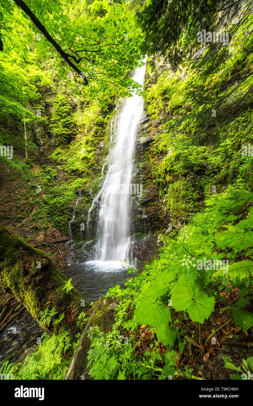 Karlovsko pruskalo waterfall in Old River, Stara reka reserve, located ...
