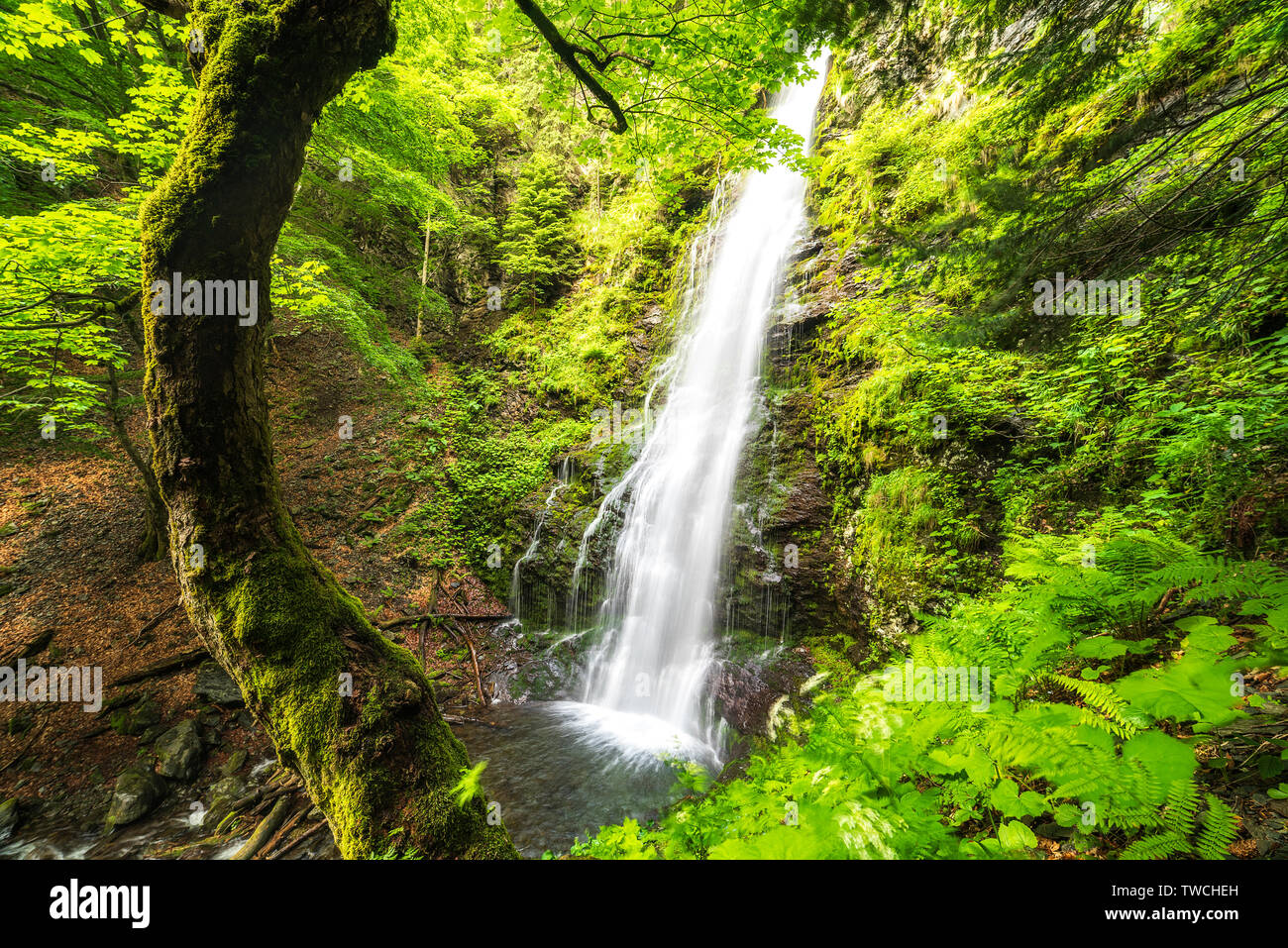 Karlovsko pruskalo waterfall in Old River, Stara reka reserve, located ...