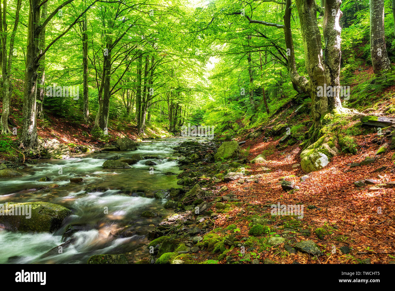 Summer mountain colors of 