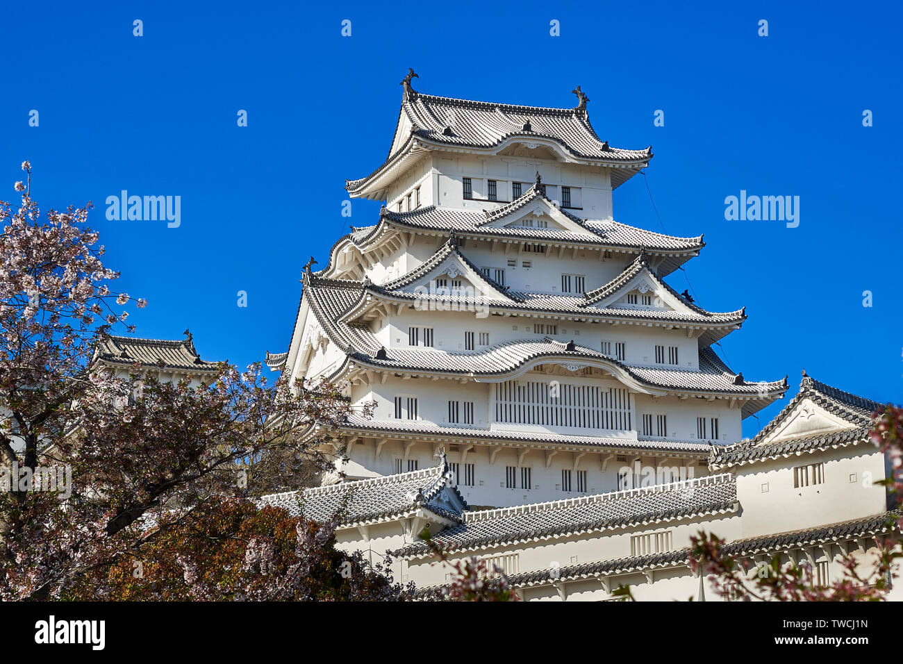 The Himeji castle in warm afternoon light with green trees at the bottom of the fortified walls. Stock Photo