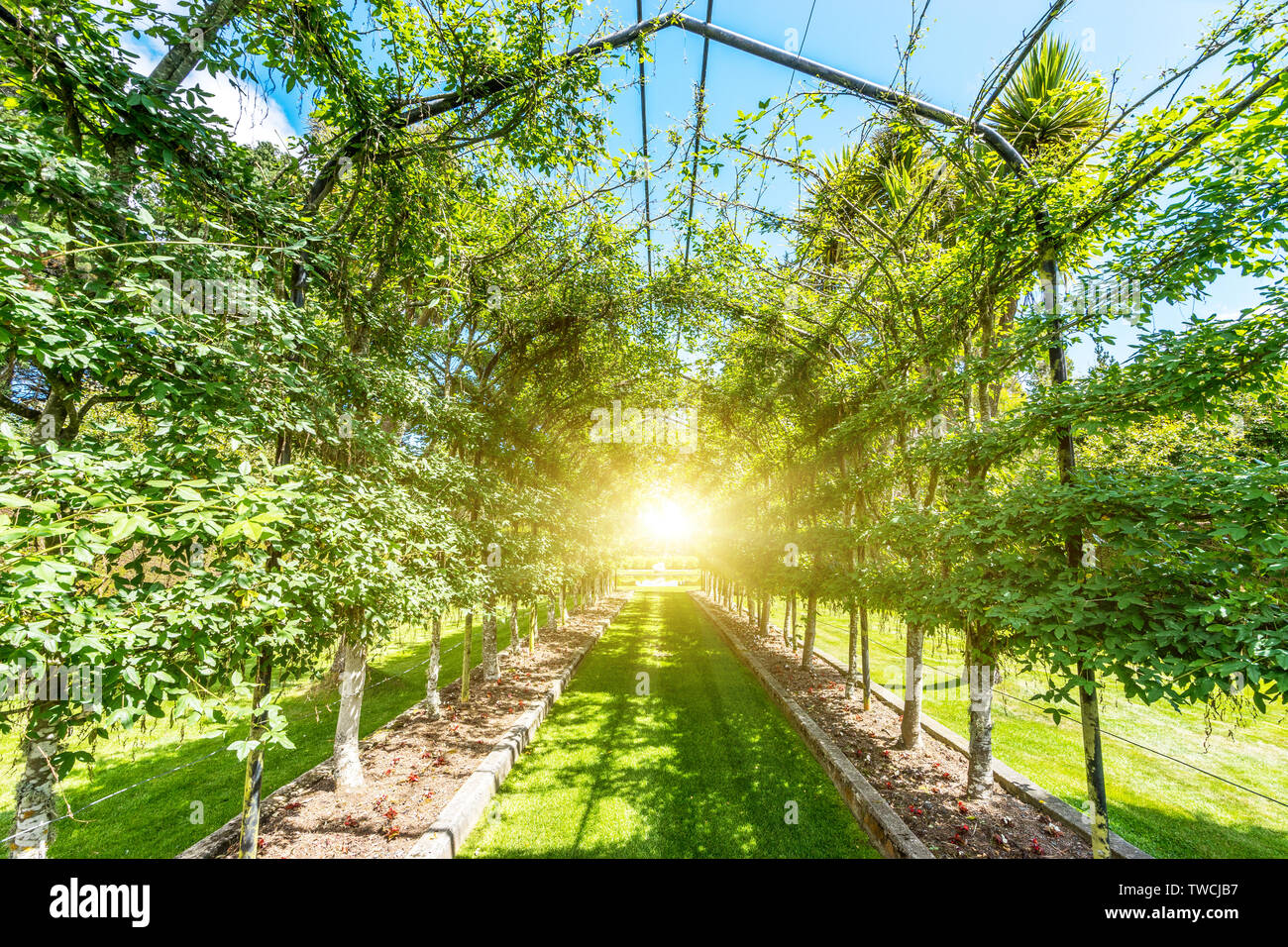 empty green footpath under steel frame in park Stock Photo