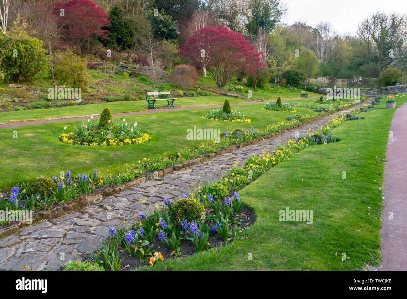 Flowers and Greenery at Carlisle Park, Morpeth, in Springtime Stock