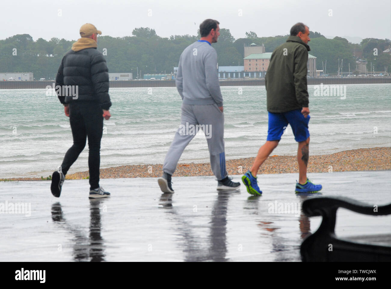 Weymouth, beach, dogwalkers, seafront, harbour, dogs off