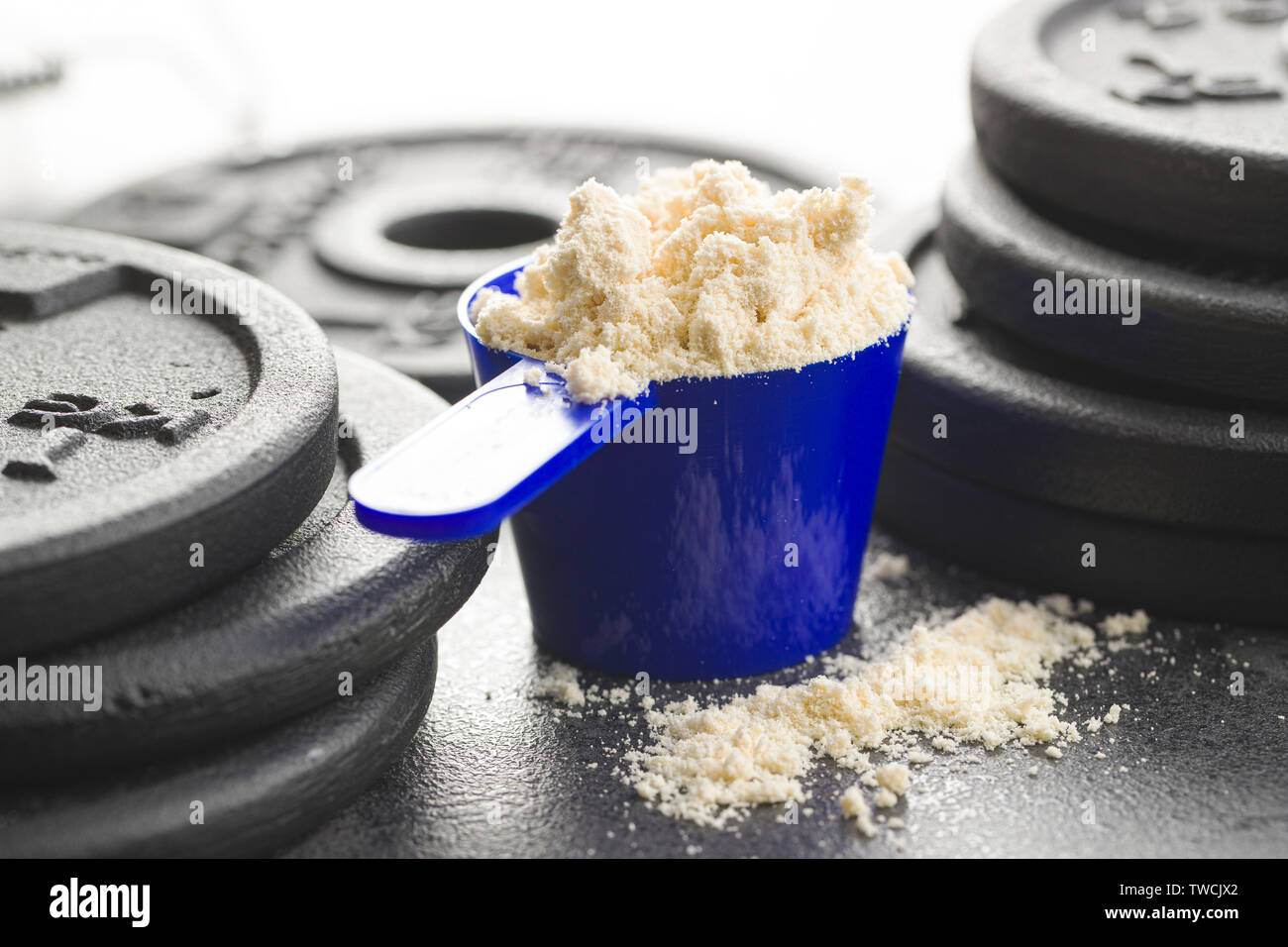 Whey protein powder in scoop. Stock Photo