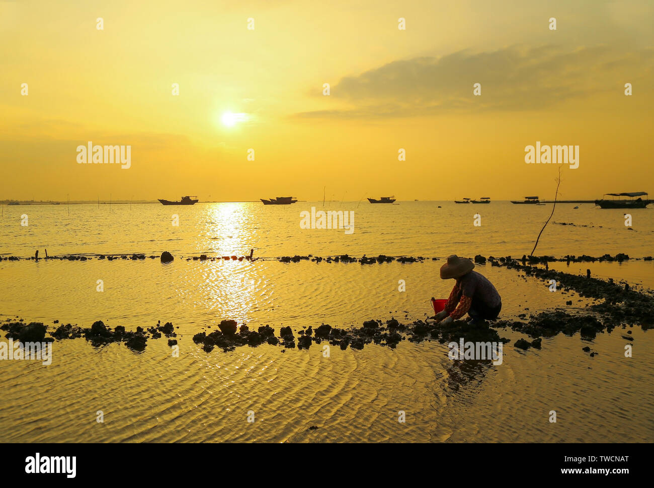 Silhouette of fishermen toiling at dusk Stock Photo