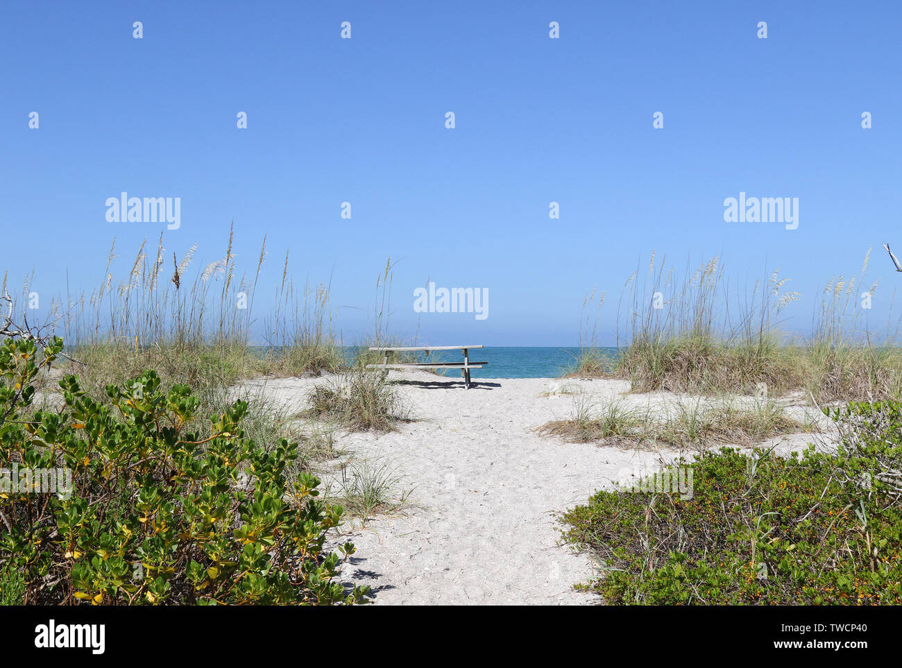 A picnic table in the sand dunes at Stump Pass Beach State Park Florida
