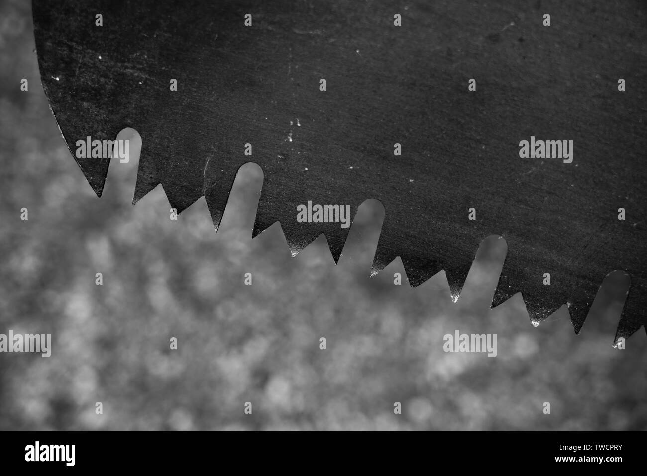 Close up of saw teeth with bokeh background. Stock Photo
