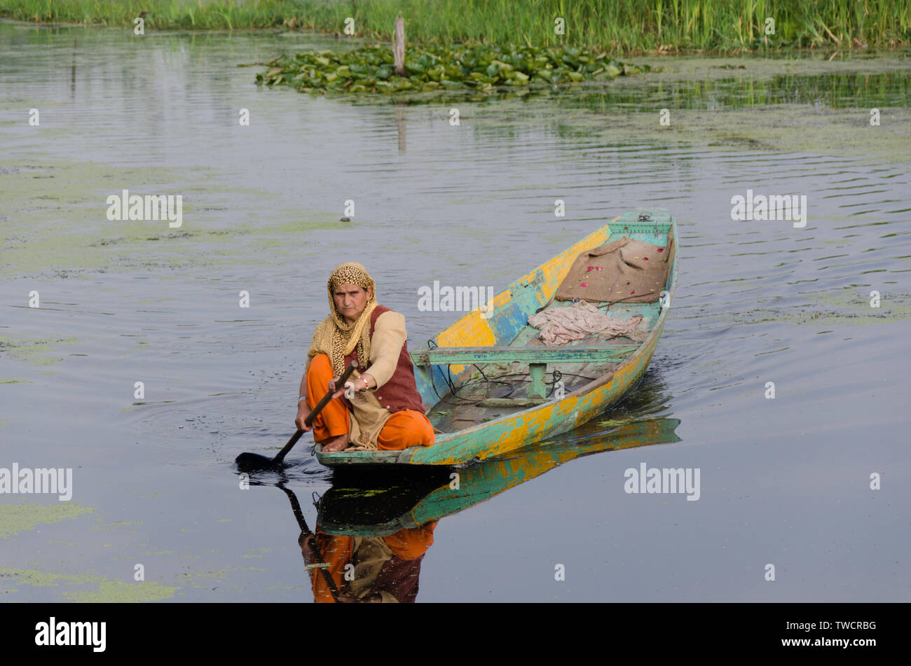 Portrait of a Kashmiri women rowing her shikara on Dal Lake, Srinagar, Jammu and Kashmir, India Stock Photo