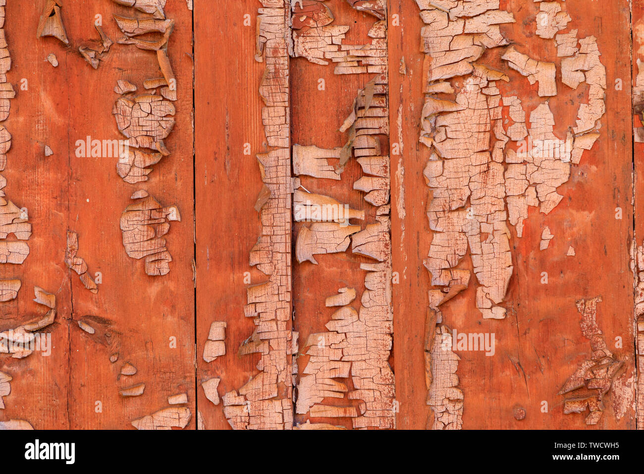 Eastern Europe, Ukraine, Pripyat, Chernobyl. Peeling paint. Stock Photo