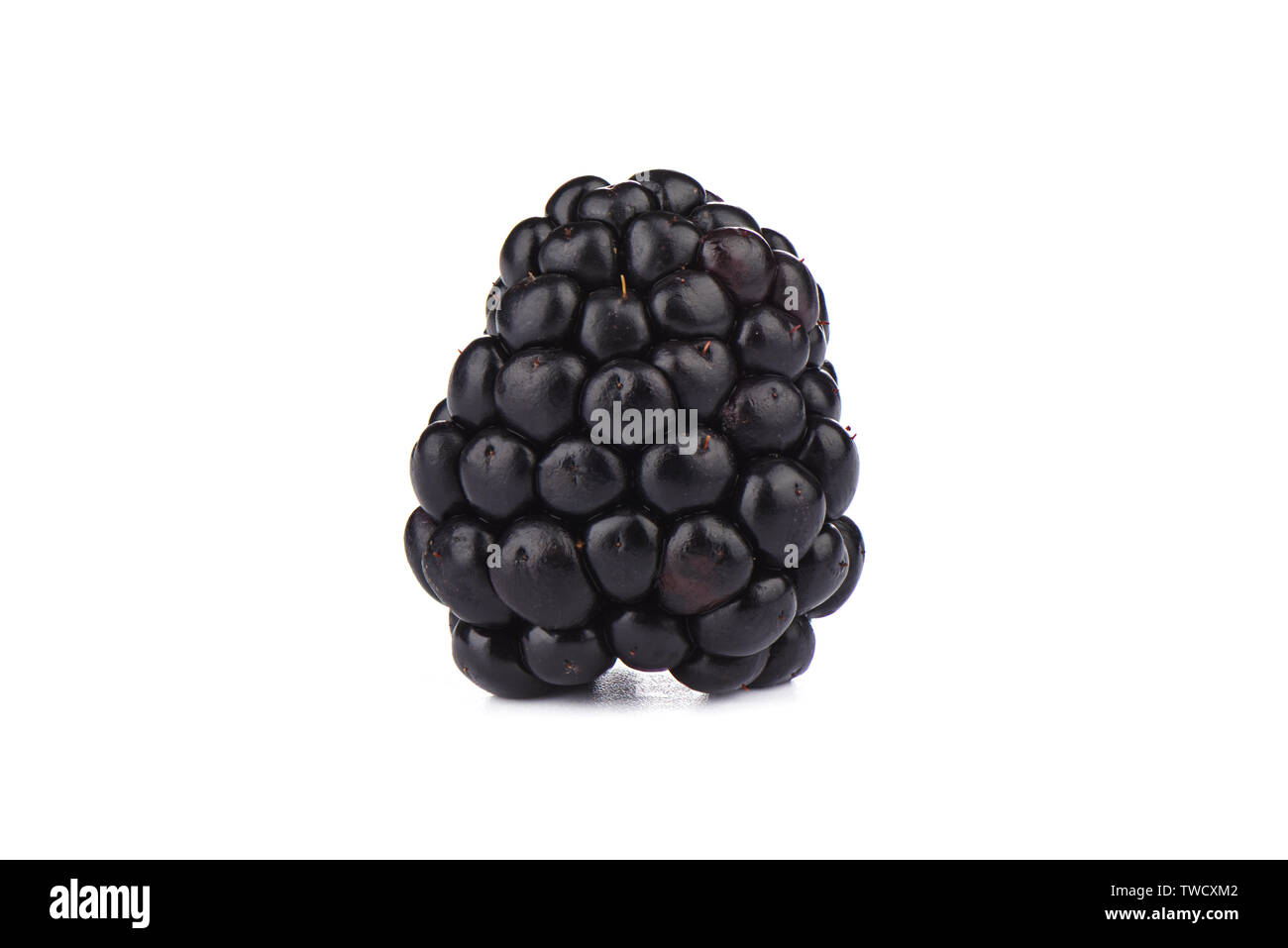 Under Ripe Blackerry Ripe blackberry over white background. Macro shot. Copy space Stock ...