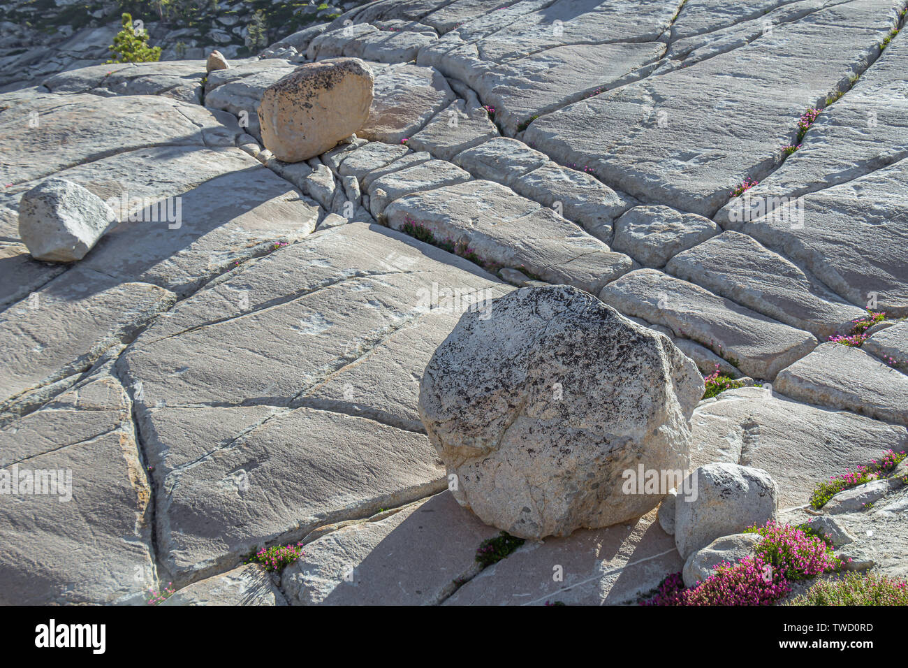 Jointed granite and boulders at Olmsted Point in Yosemite National Park, California, USA. Stock Photo