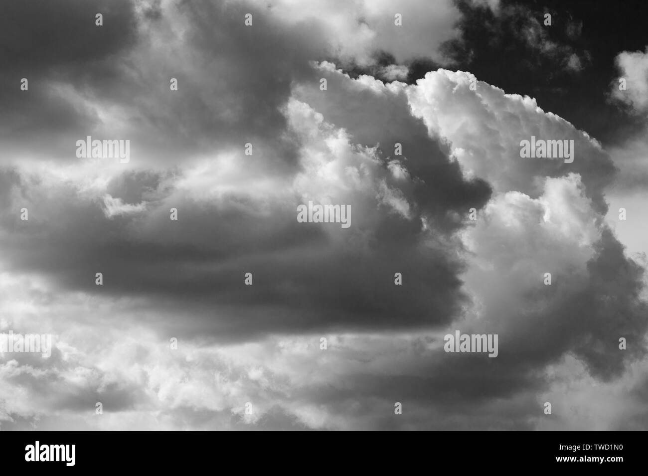 Fair weather cumulus cloud Black and White Stock Photos & Images - Alamy