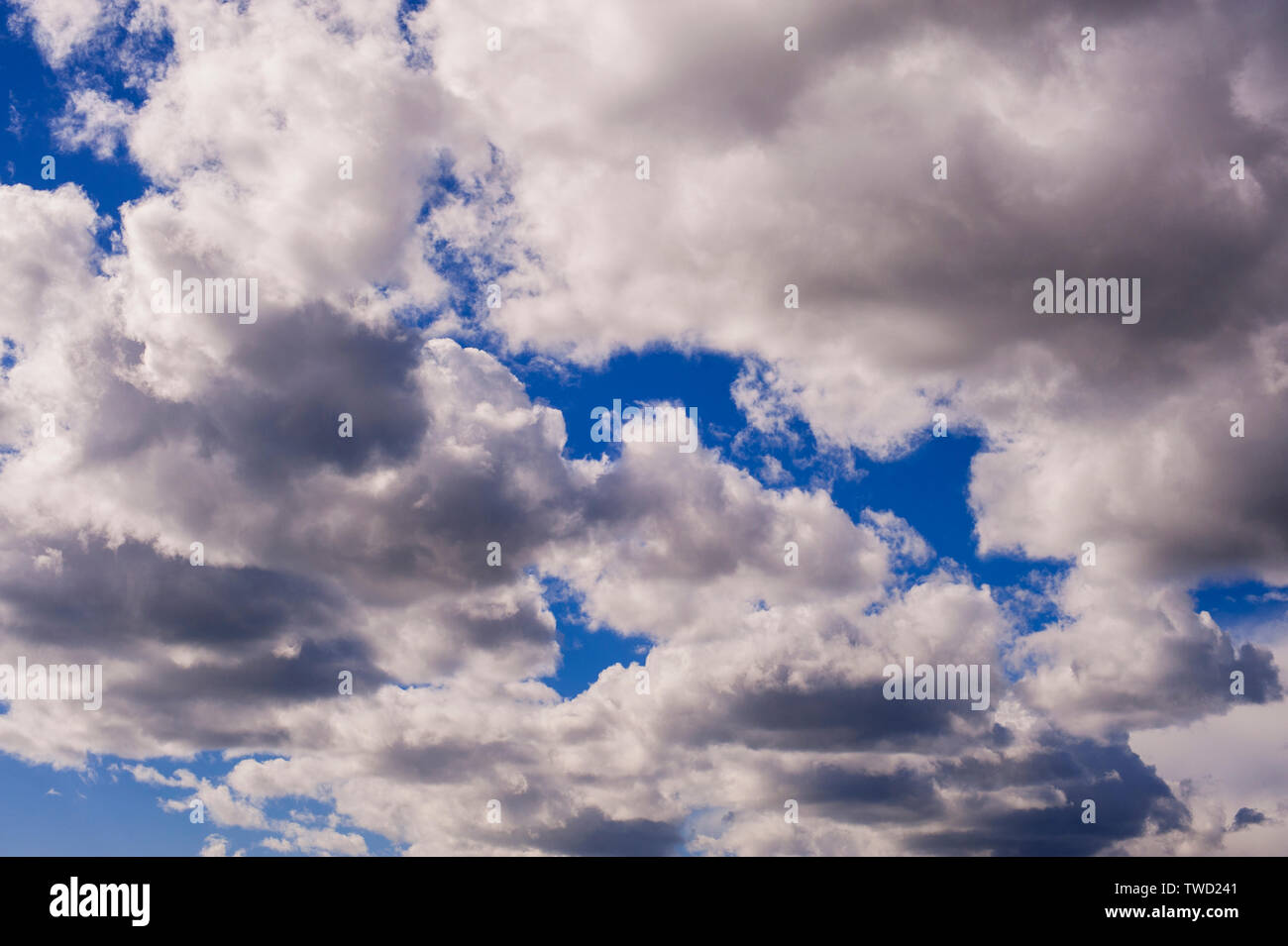 Cumulus clouds with natural patterns on sunny day in Spring Stock Photo