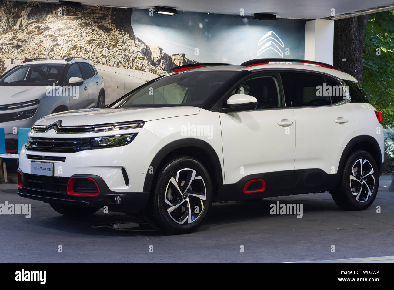 A Citroën C5 Aircross. 2019 edition of Parco Valentino car show hosts cars by many brands and car designers inside Valentino Park in Torino, Italy. Stock Photo