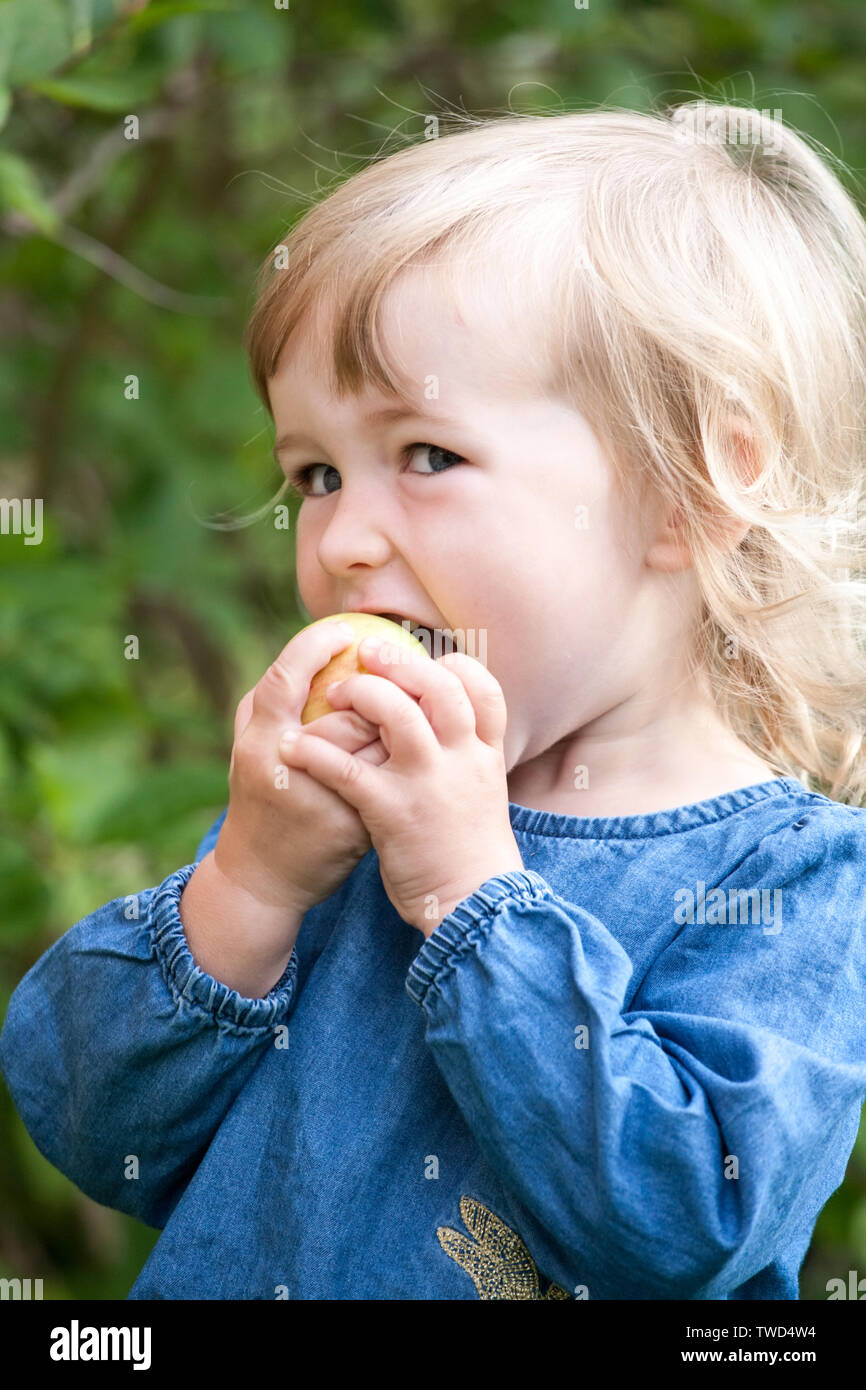 little girl in blue dress eating apple closeup on summer outdoor background Stock Photo