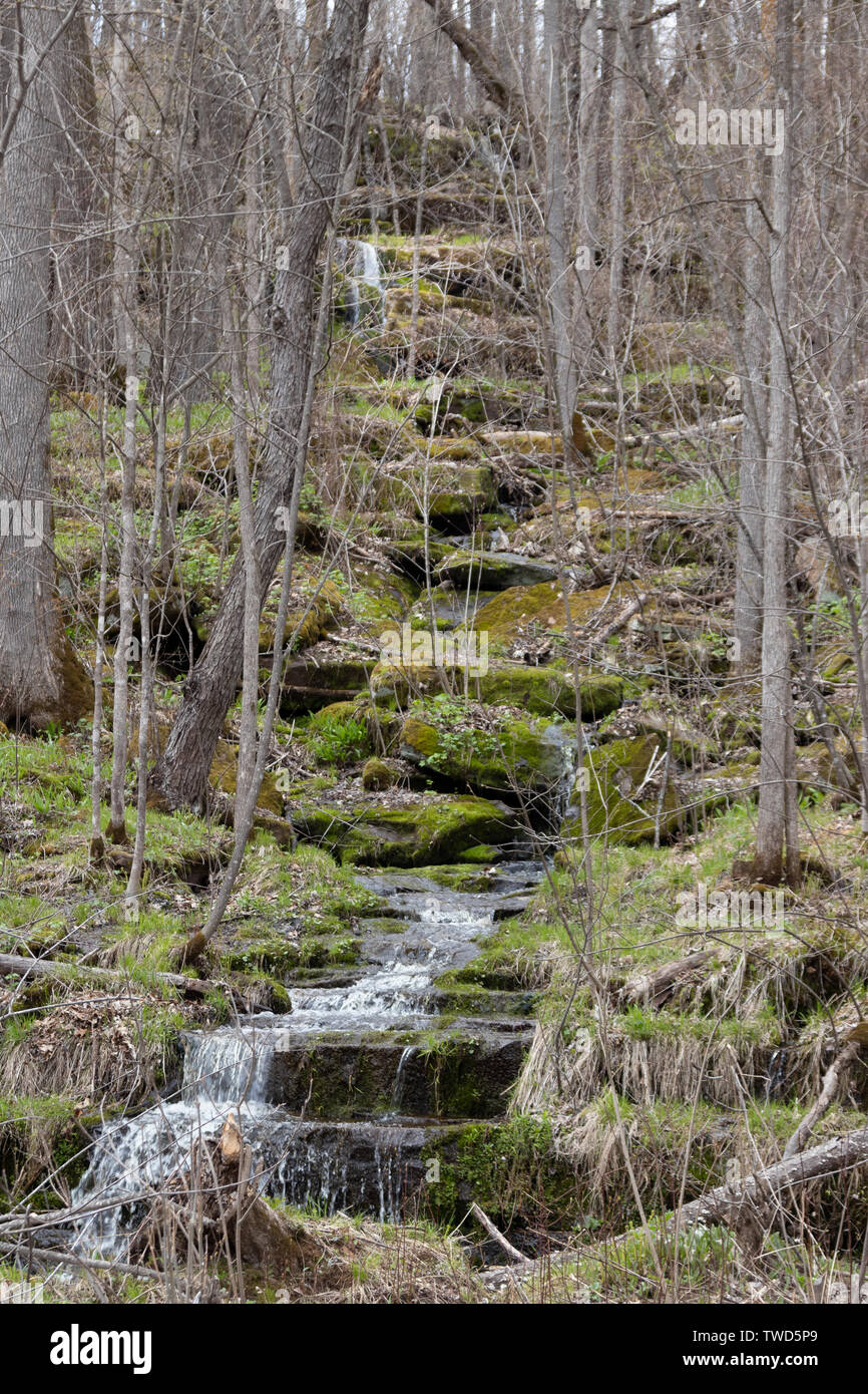 Creek waterfall at Banning State Park Stock Photo Alamy