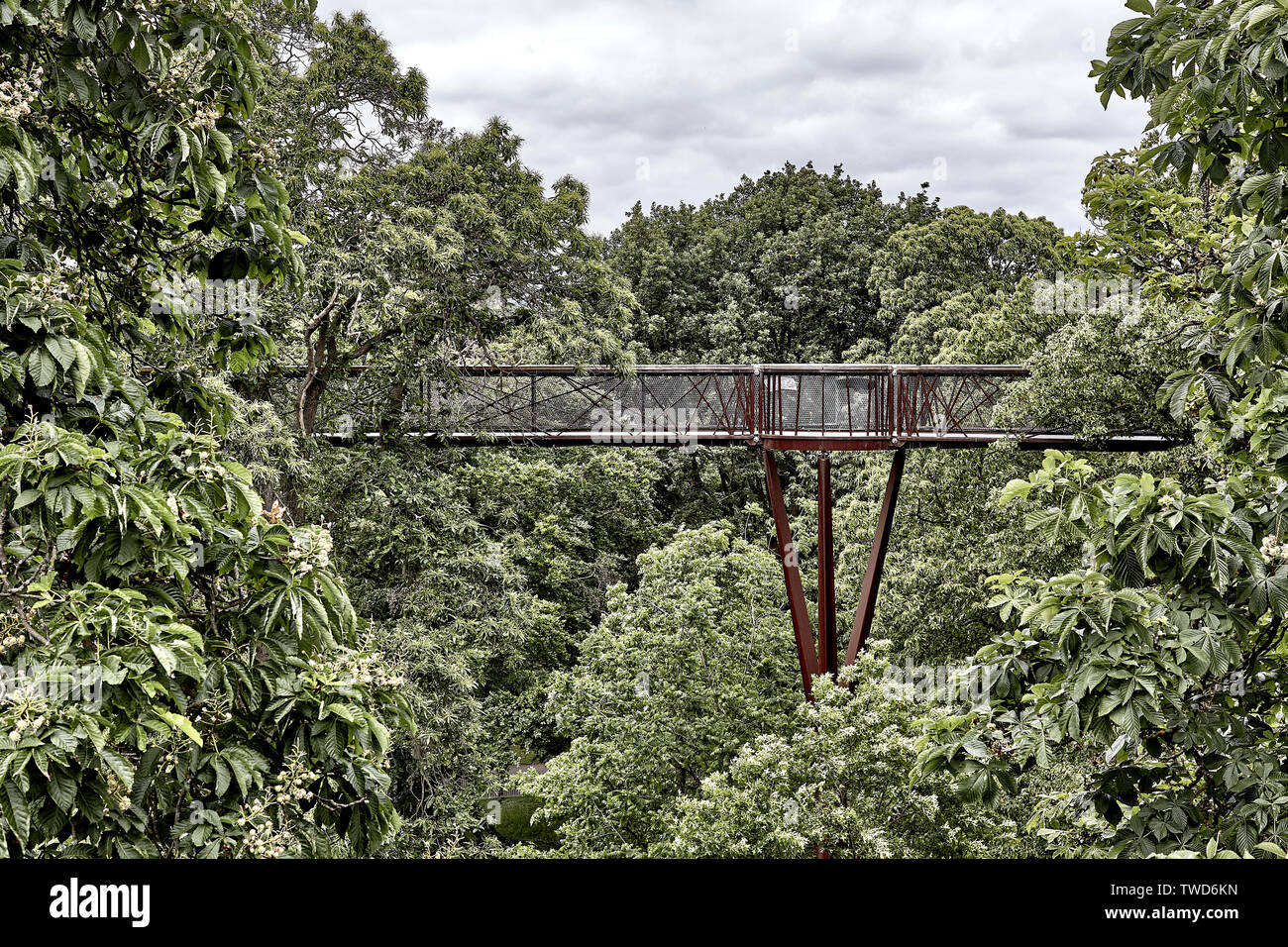 18 metres above the ground, the Treetop Walkway is a chance to get closer to Kew’s trees Stock Photo