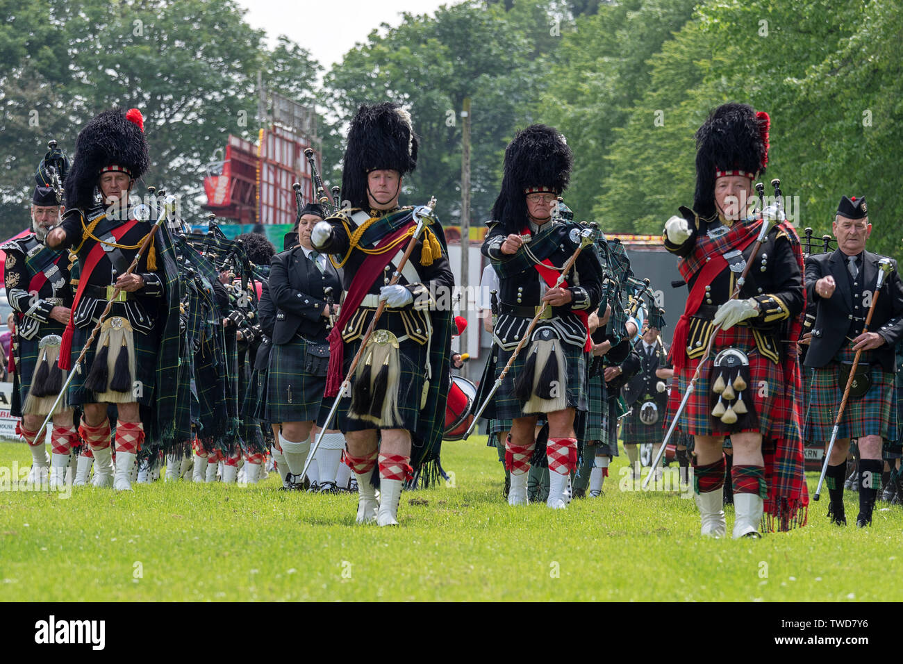 Pipe band marching drum major hires stock photography and images Alamy