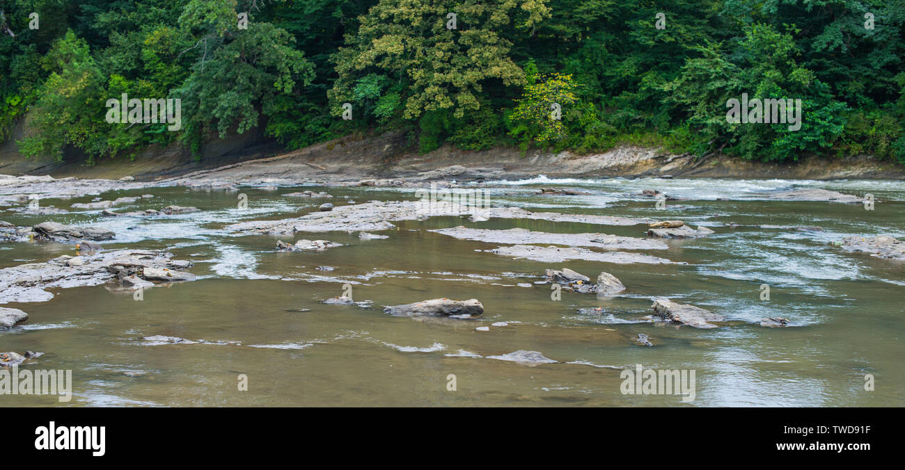 Shallow rocky bottom of the river. Stock Photo