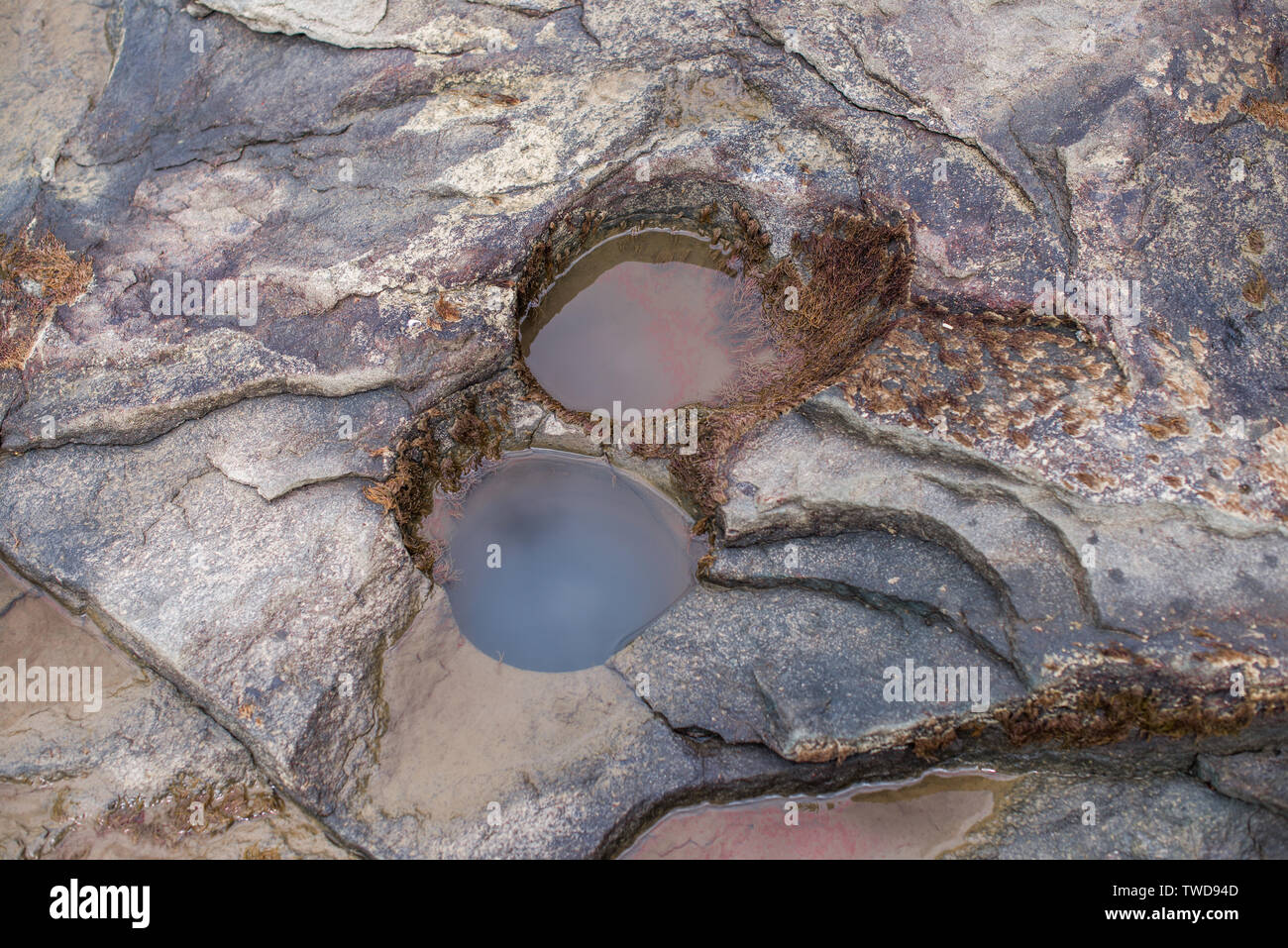 Mysterious circular hole in the red coastal rocks Stock Photo Alamy