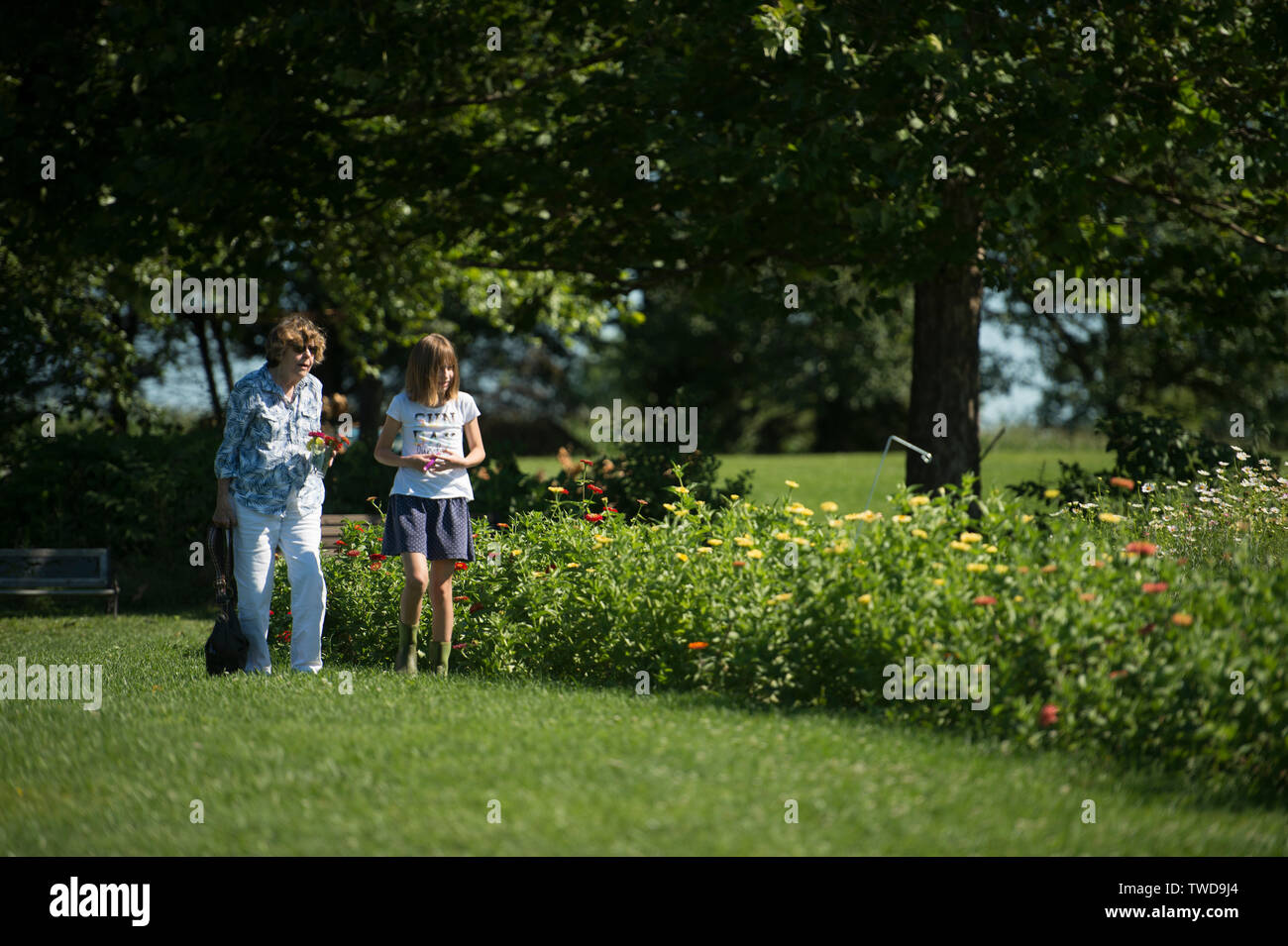 UNITED STATES July 30, 2017 Visitors pick flowers at Fields of