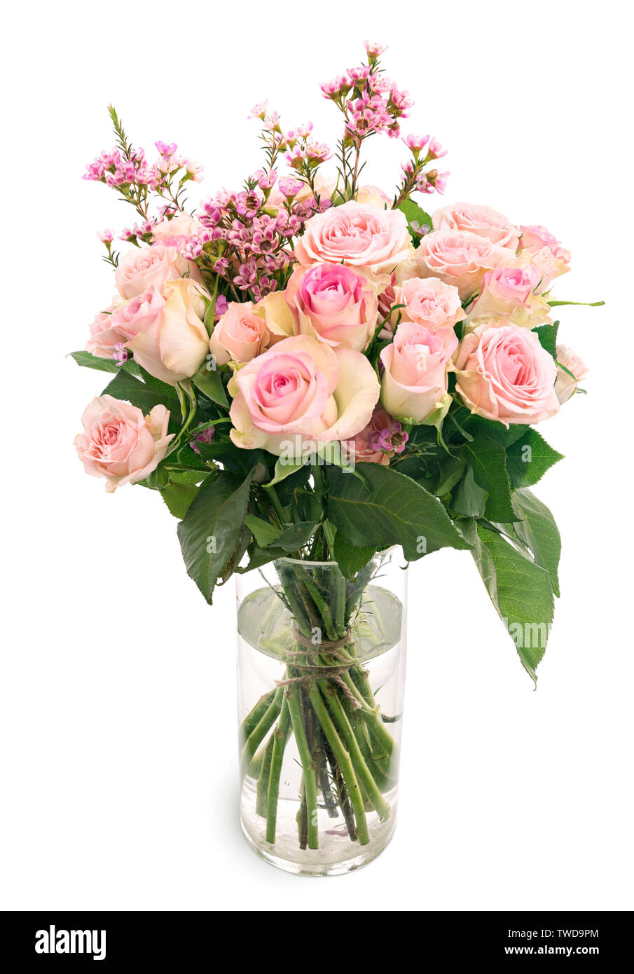 Beautiful bouquet of tender pink roses in a vase isolated on white ...