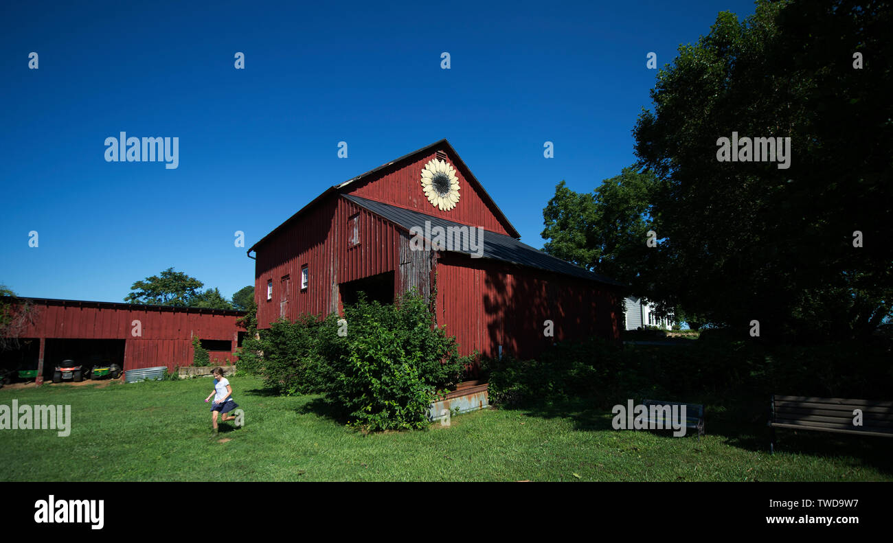 UNITED STATES July 30, 2017 Fields of Flowers in Purcellville