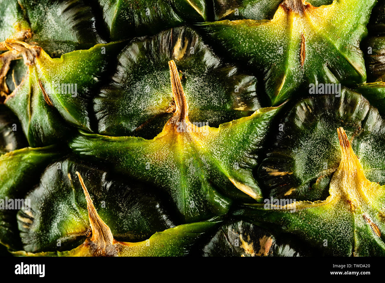 An Extreme Macro of a pineapple's skin. The highly textured skin is ...