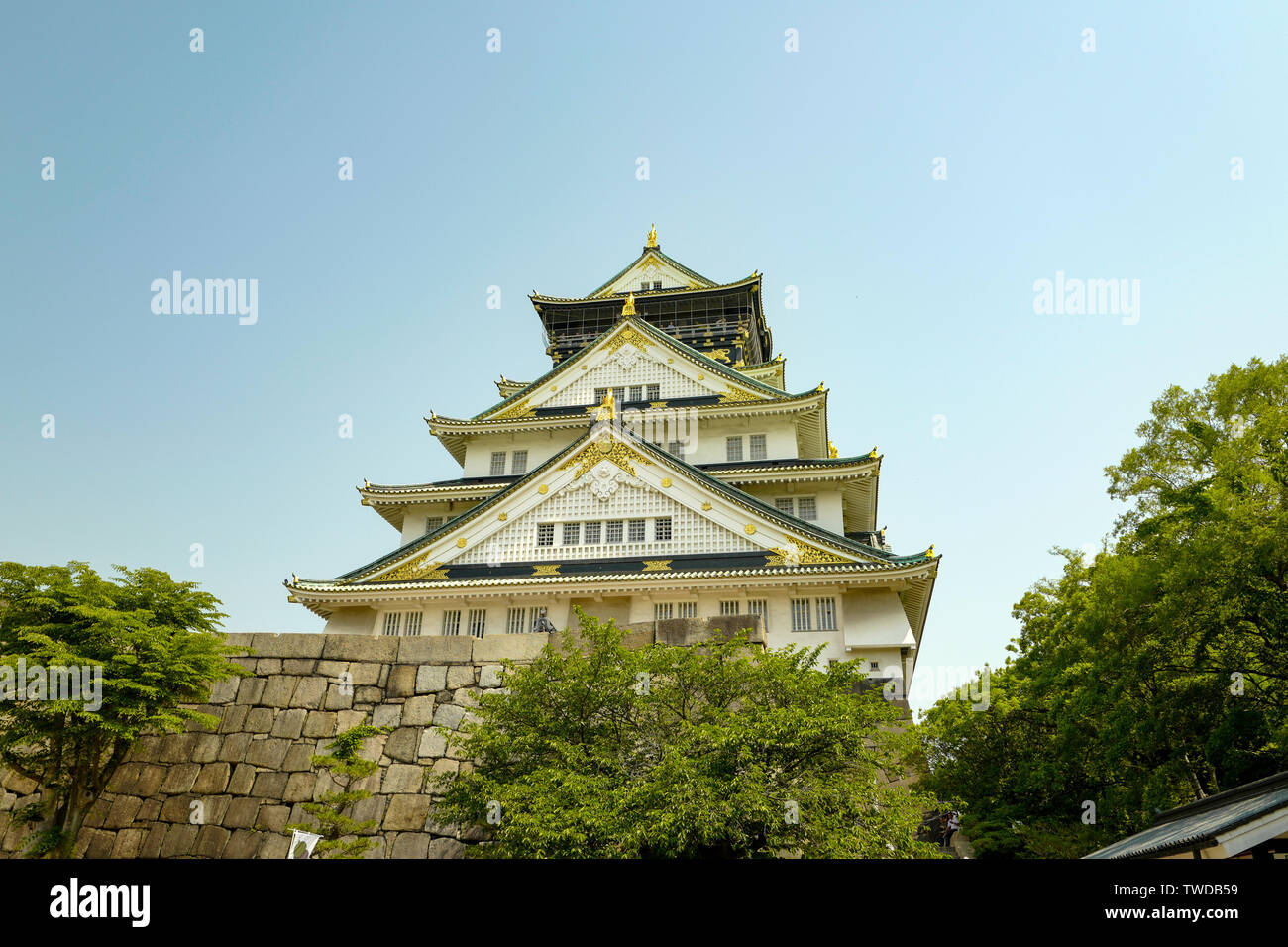 Osaka, Japan, 29th, May, 2017. Osaka Castle, the Central tower. The castle is one of Japan's most famous landmarks. Viewed from Nishinomaru Garden. Stock Photo