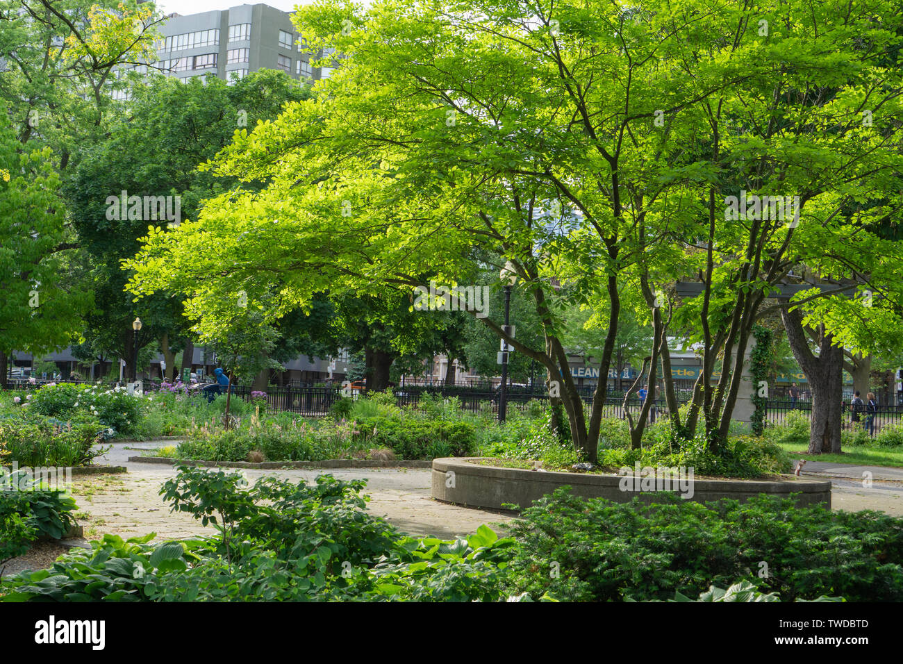 Allen Gardens is beautiful during the summer Stock Photo