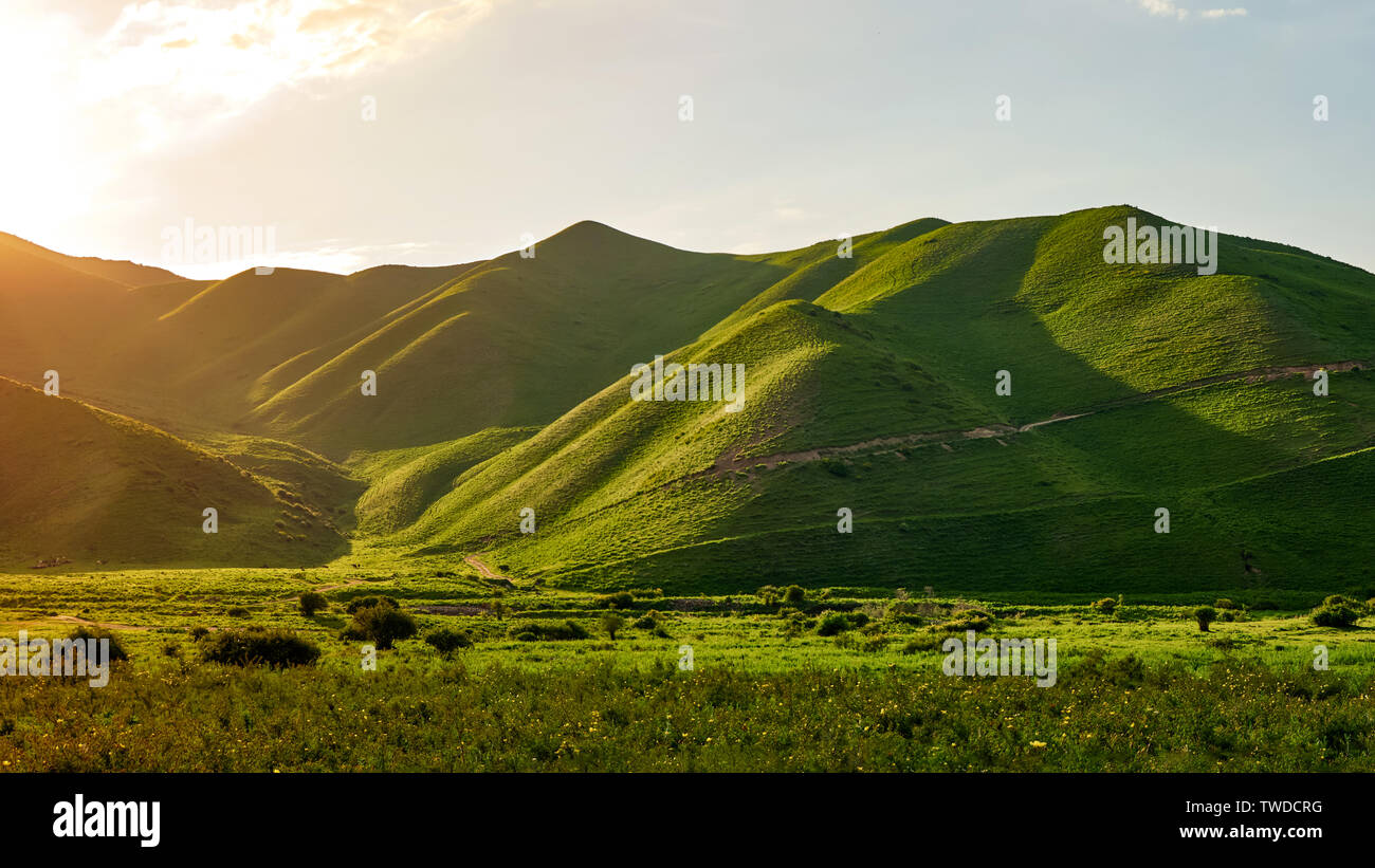 Panorama of a mountain valley in the summer. Fabulous sunset view of a mountain of green hills, amazing nature, summer in the mountains. Travel and ca Stock Photo