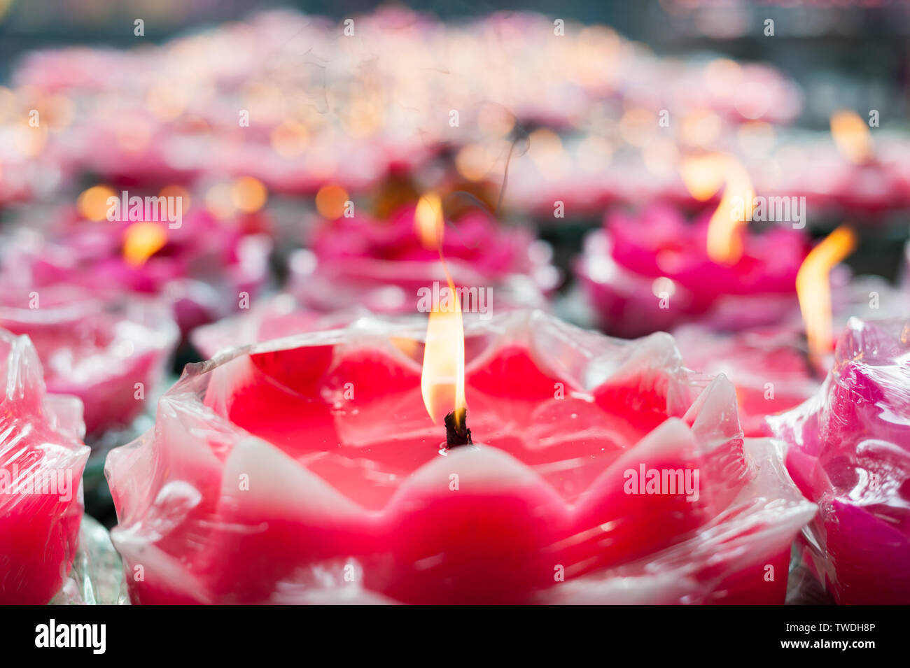 Lotus candles in the temple Stock Photo Alamy