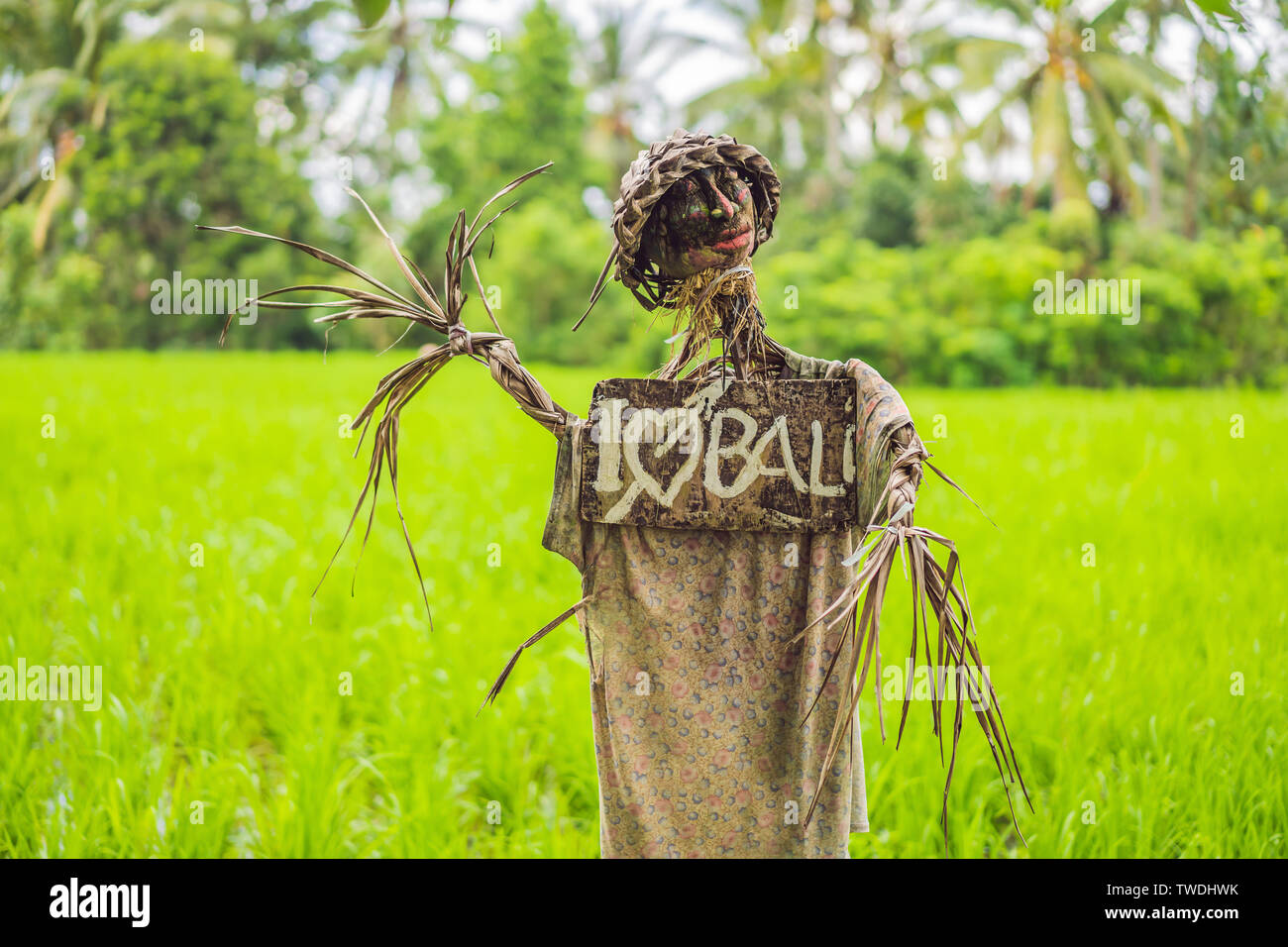 Scarecrow on the rice terrace with a sign I love Bali Stock Photo