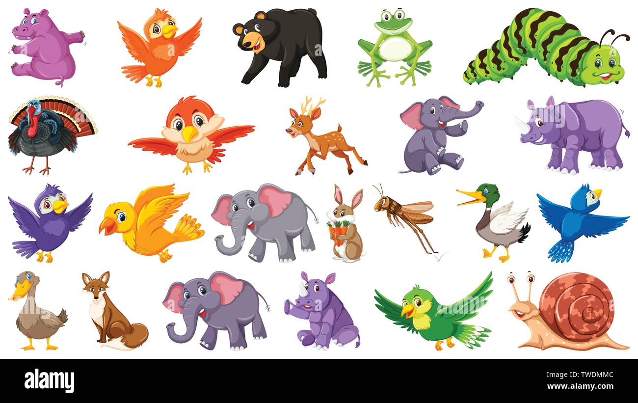 Set of wild animal illustration Stock Vector Image & Art - Alamy