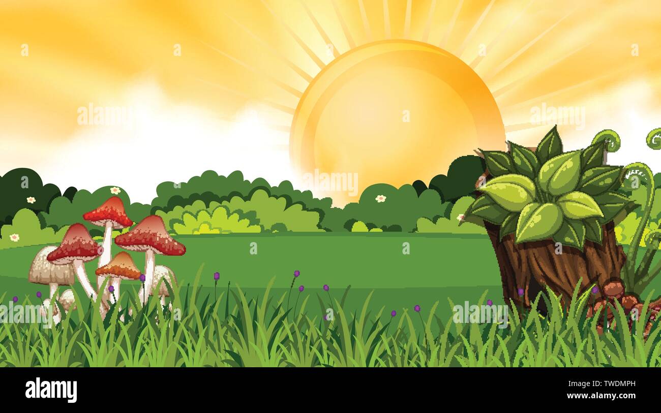 A nature landscape at sunset illustration Stock Vector Image & Art - Alamy