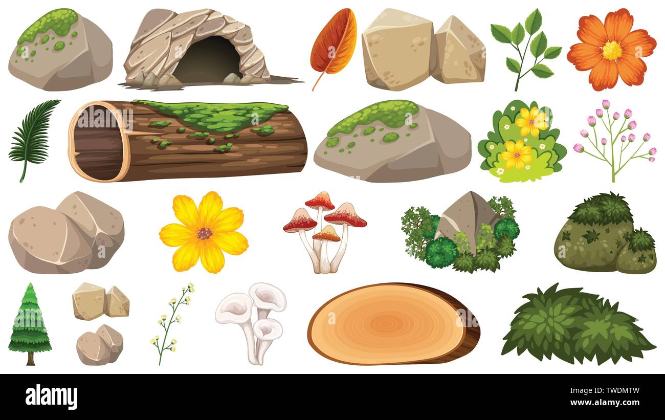 Set of nature decoration illustration Stock Vector Image & Art - Alamy