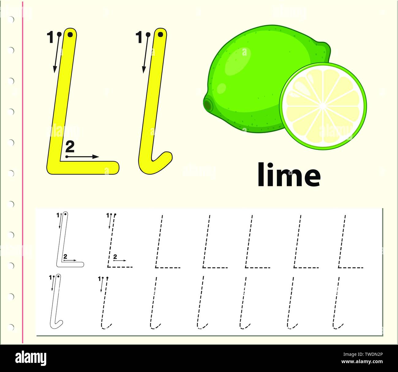 Letter L Tracing Alphabet Worksheets Illustration Stock Vector Image Art Alamy