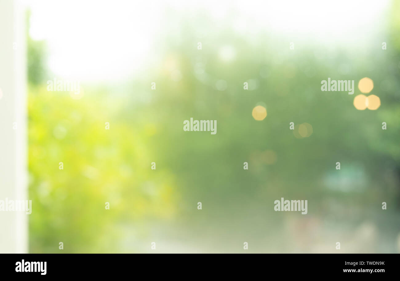 Blur of abstract green garden background from window view Stock Photo