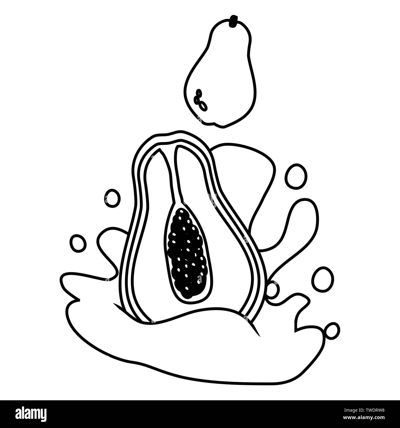 papaya juice splash tropical fruits vector illustration Stock Vector Image & Art Alamy