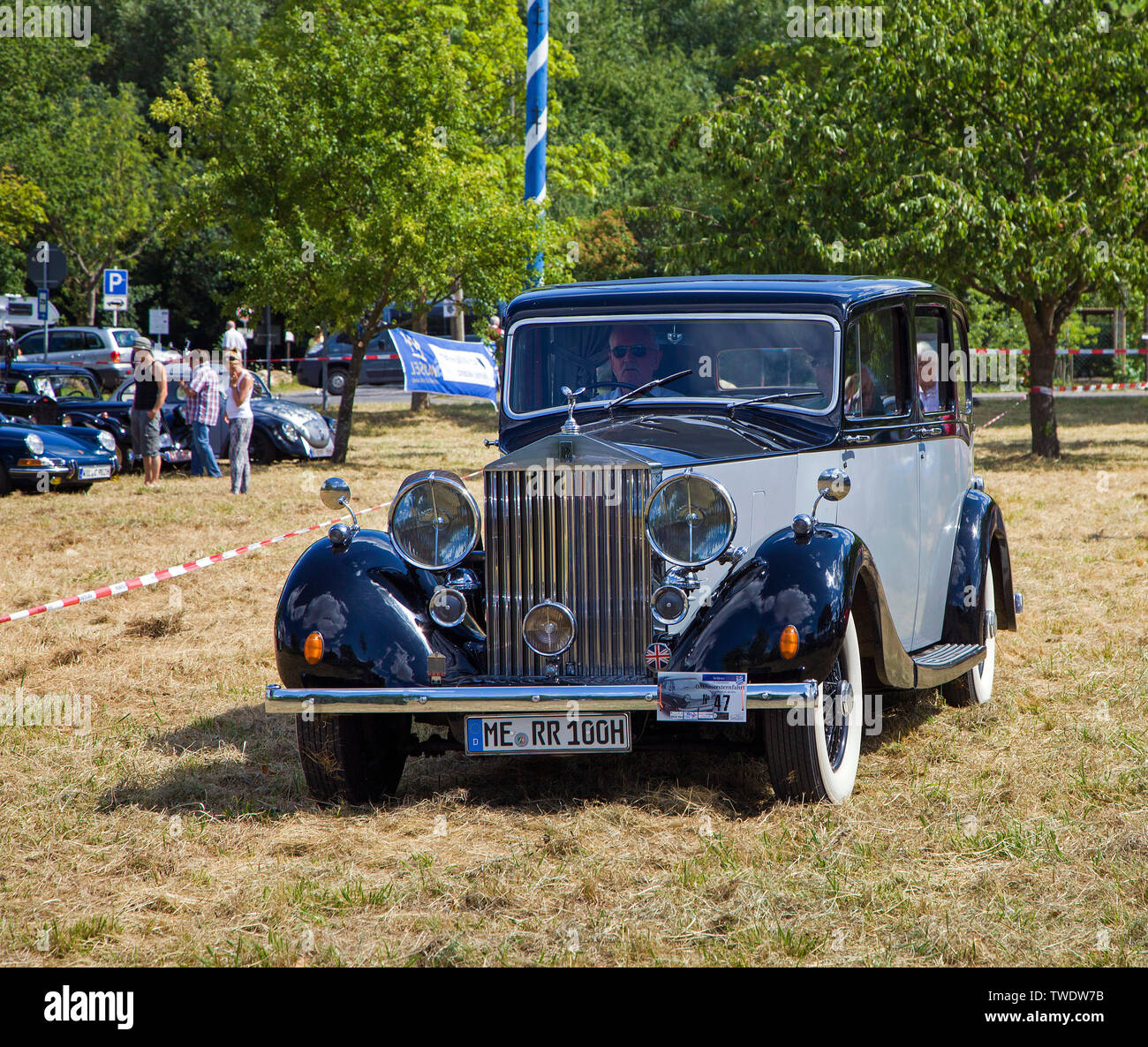 Rolls-Royce Silver Wraith, built 1950, on a meadow, Veldenz, Middle Mosel, Rhineland-Palatinate, Germany Stock Photo