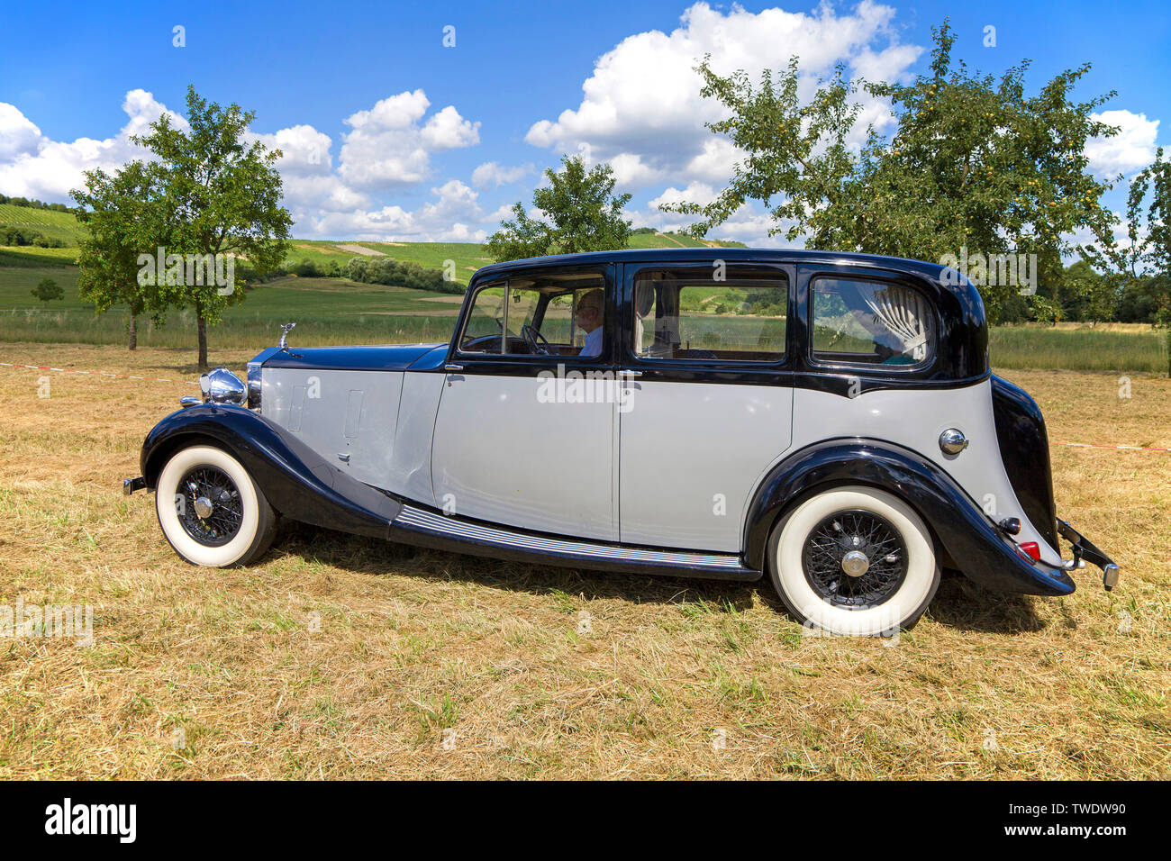 Rolls-Royce Silver Wraith, built 1950, on a meadow, Veldenz, Middle Mosel, Rhineland-Palatinate, Germany Stock Photo