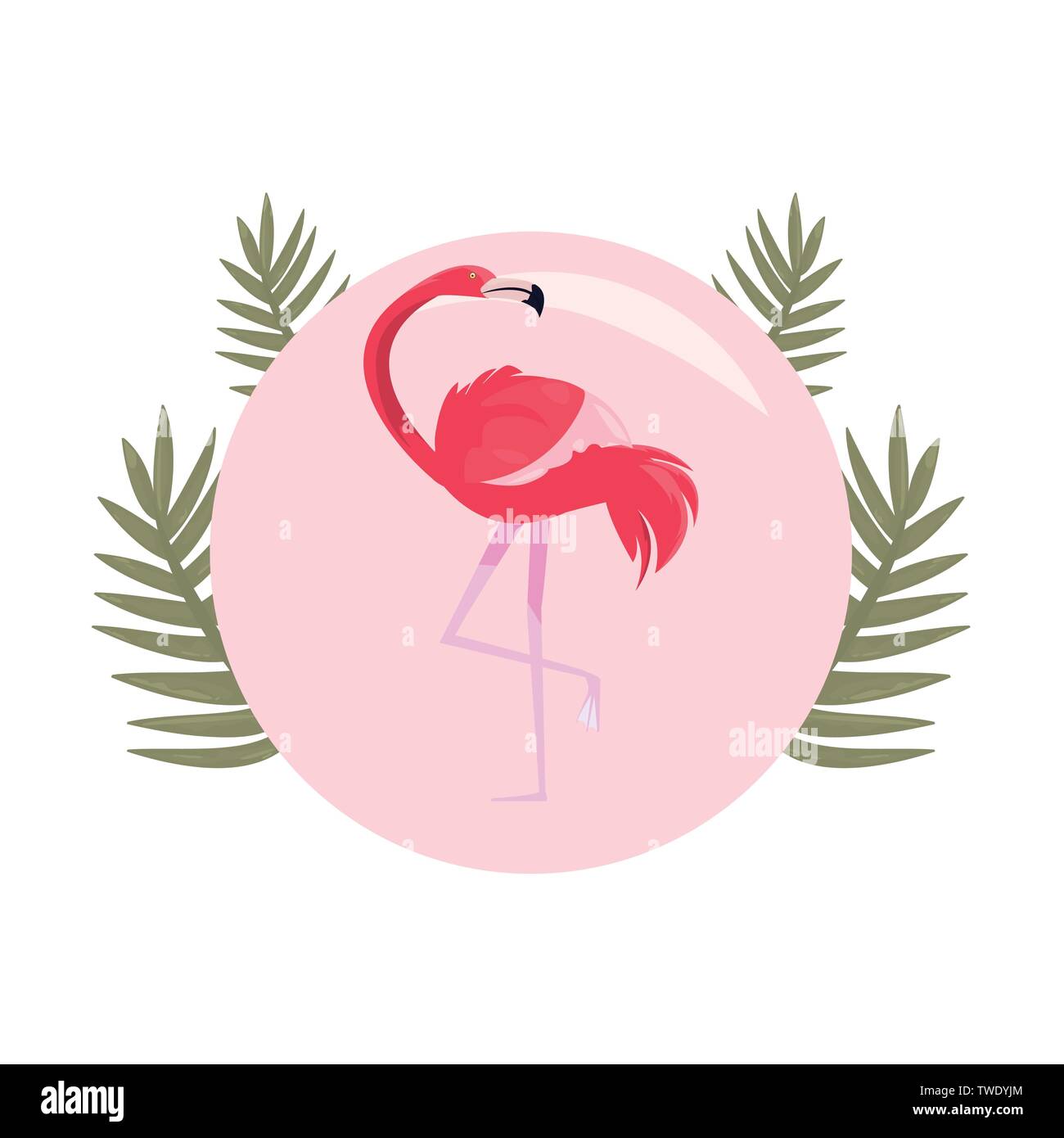 summer time holiday flamingo badge tropical leaves vector illustration ...